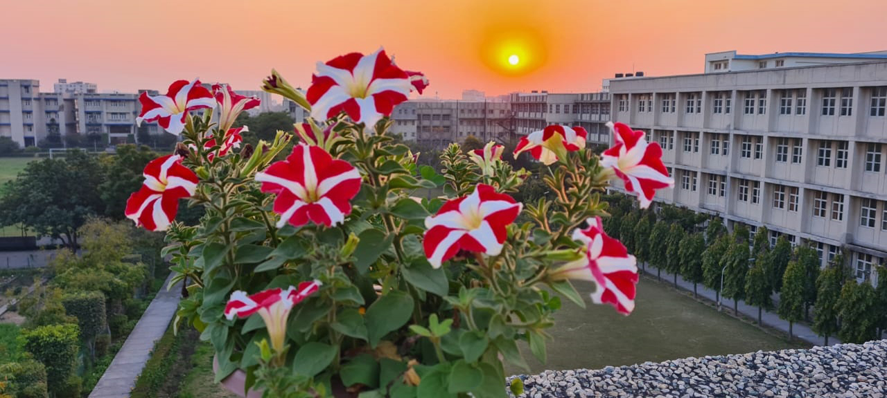 Campus Image 3